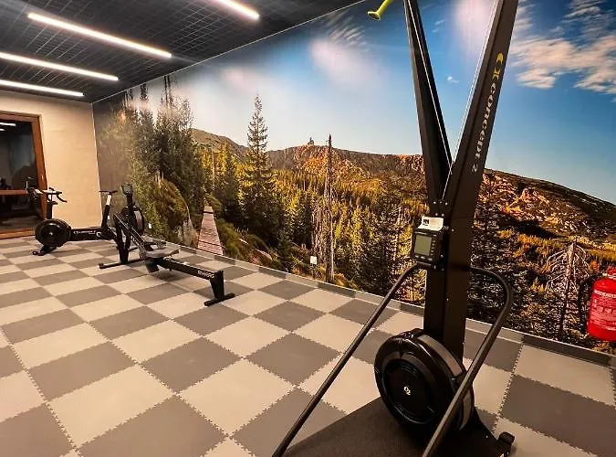 Apartman Park C14- Z Dostepem Do Basenu, Sauny, Jacuzzi, Silowni Szklarska Poręba